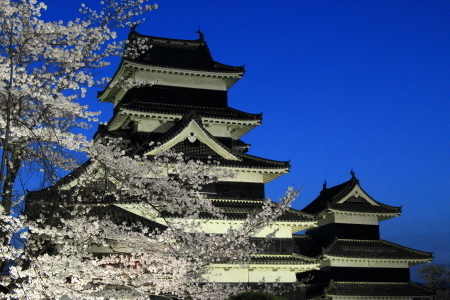 IMG_7654d.JPG