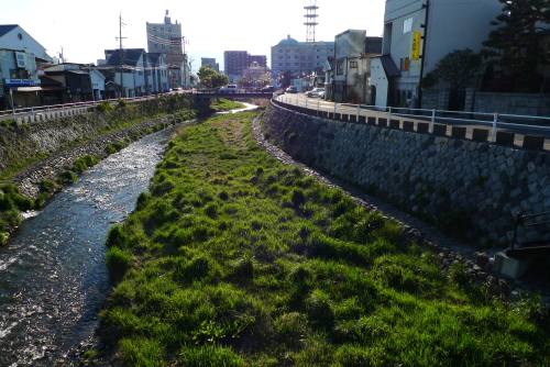 P1100459d.JPG