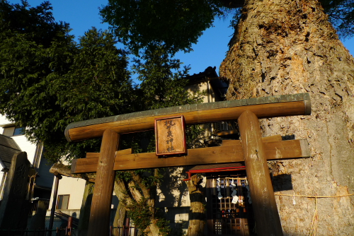 槻井神社