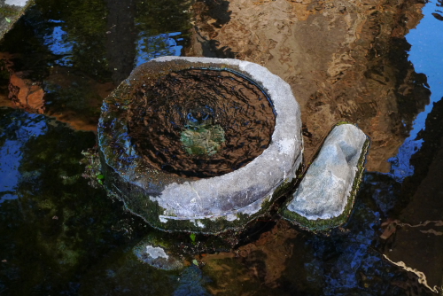 槻井の湧水